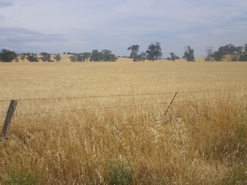 Laura Farming & Grazing, Laura SA 5480