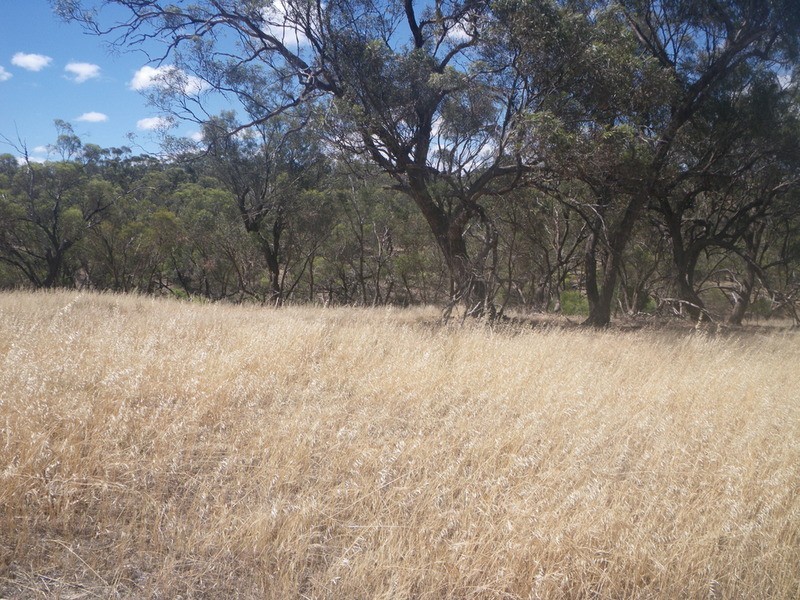 Lookout Road, Laura SA 5480