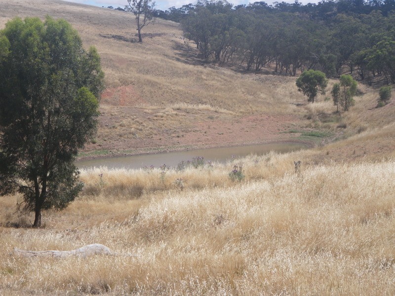 Lookout Road, Laura SA 5480