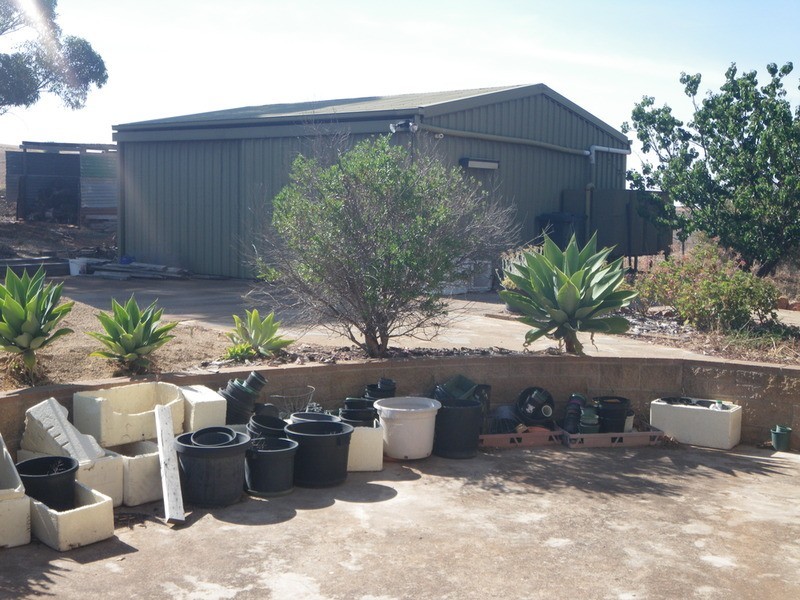 31 Barr Street, Redhill SA 5521