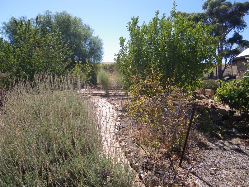 31 Barr Street, Redhill SA 5521