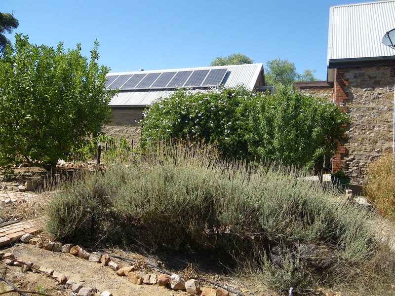 31 Barr Street, Redhill SA 5521