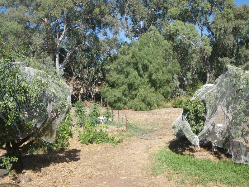 Section 440 Main North  Road, Wirrabara SA 5481