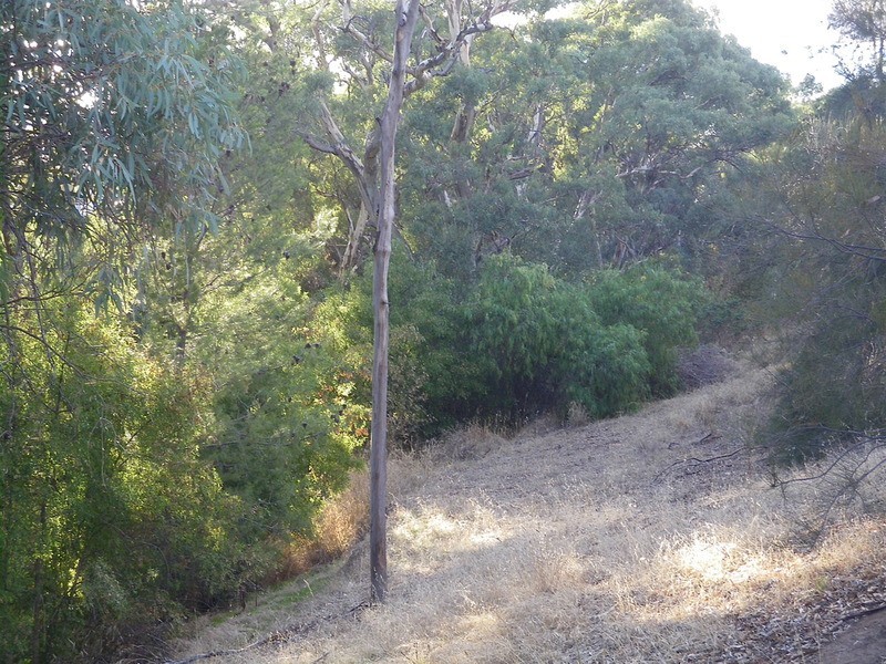Allotment 1 Possum Park Road, Laura SA 5480