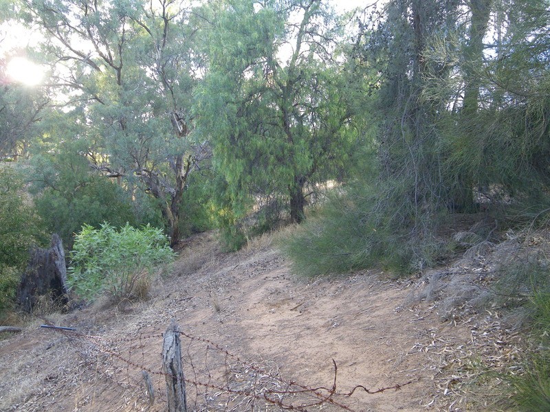 Allotment 1 Possum Park Road, Laura SA 5480