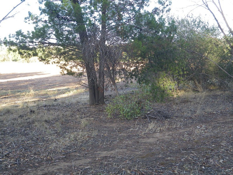 Allotment 1 Possum Park Road, Laura SA 5480