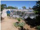 8 Collins  Street, Jamestown SA 5491