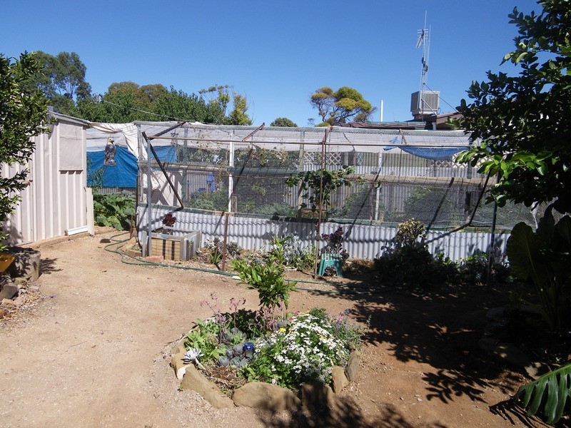 8 Collins  Street, Jamestown SA 5491