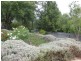 14 Turners Avenue, Coromandel Valley SA 5051