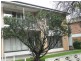 6/131 Greenhill Road, Unley SA 5061