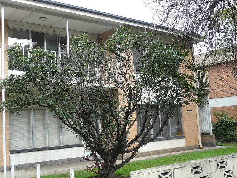 6/131 Greenhill Road, Unley SA 5061