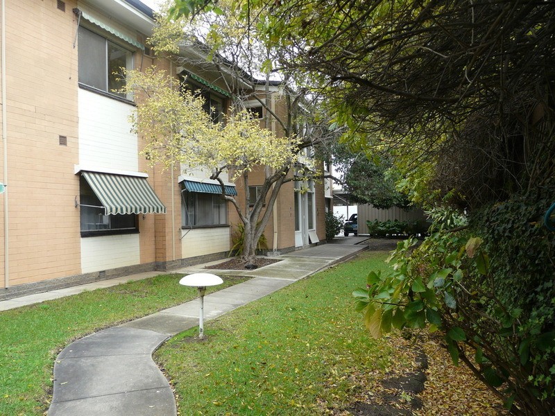 6/131 Greenhill Road, Unley SA 5061