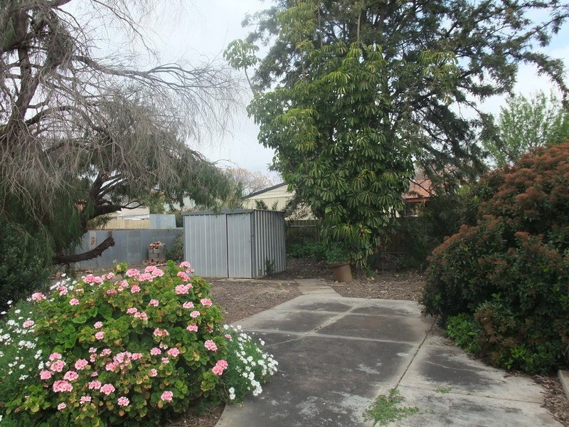 4 Water Street, Kensington Park SA 5068