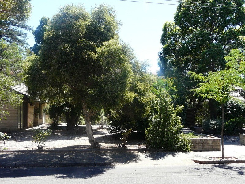 3/9-11 Eighth Avenue, St Peters SA 5069