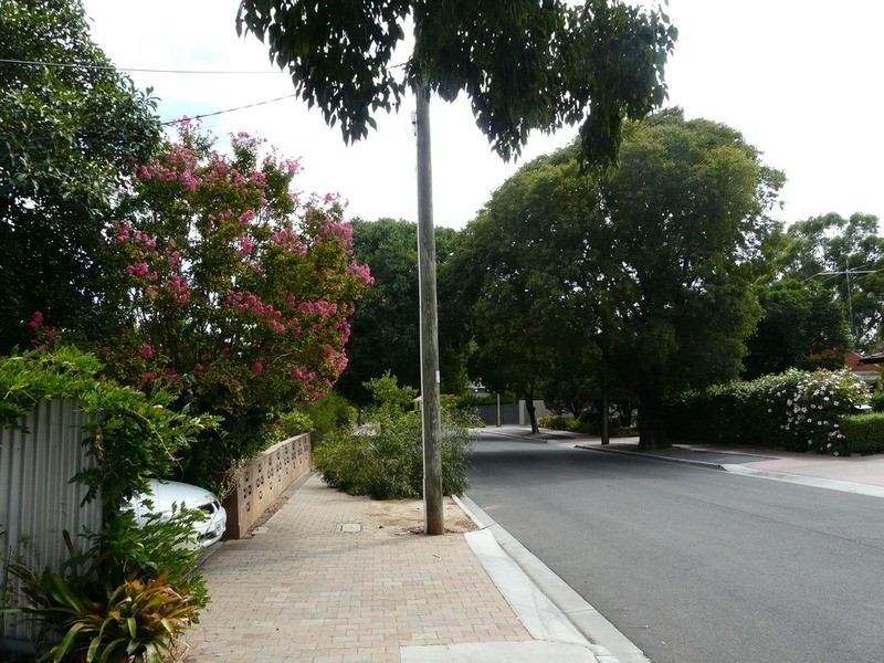 8 Emily Avenue, Clapham SA 5062