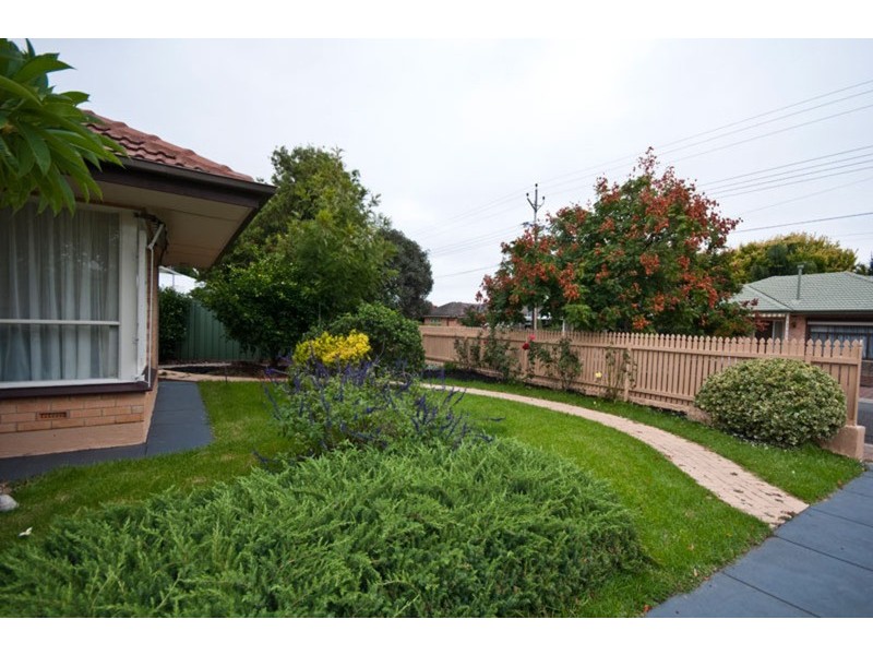 5 Ripon Road, Clarence Park SA 5034