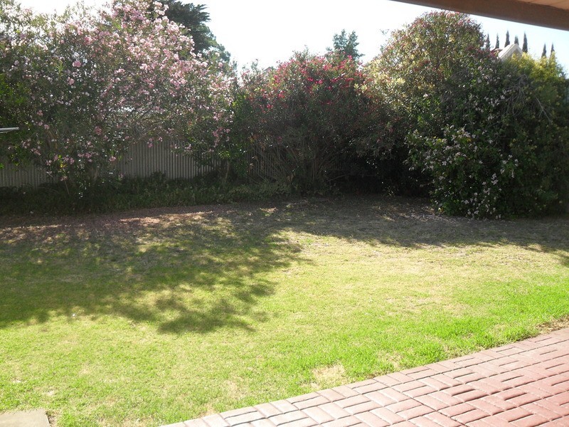 4 Verdale Avenue, Linden Park SA 5065