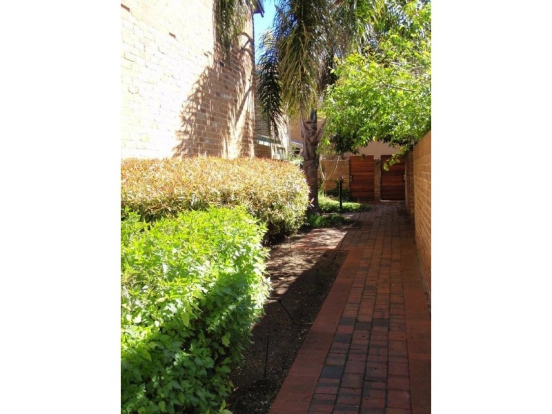 3/135 Gilbert Street, Adelaide SA 5000