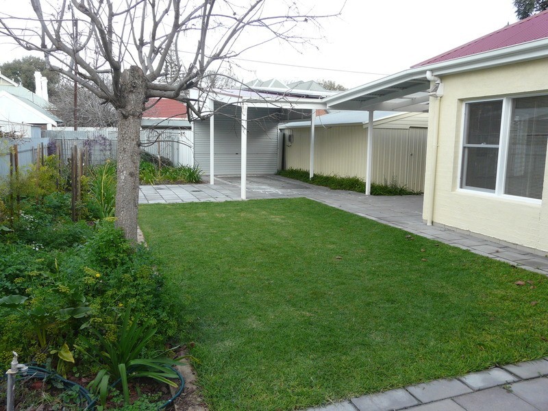 54 Watson  Avenue, Rose Park SA 5067