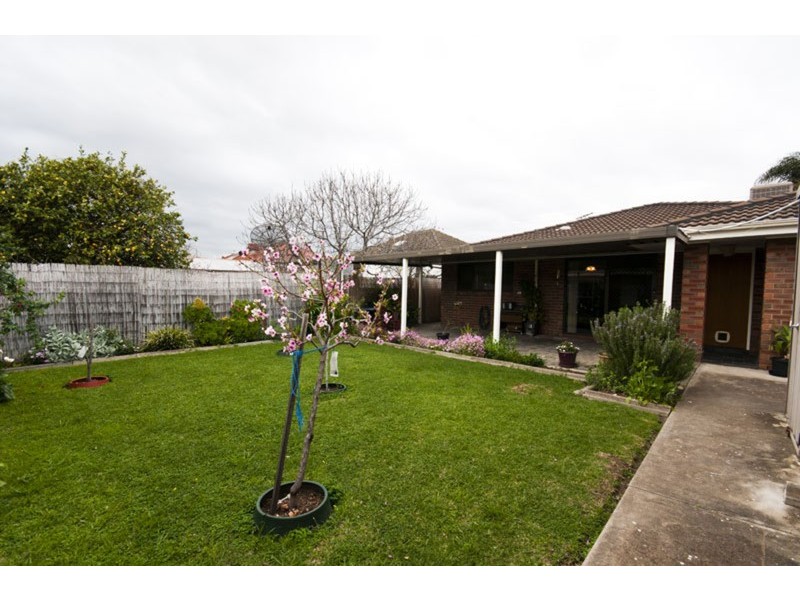 15a Ann  Street, Campbelltown SA 5074