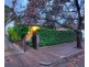 33 Fuller Street, Parkside SA 5063