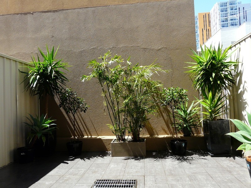 10A Crowther Street, Adelaide SA 5000