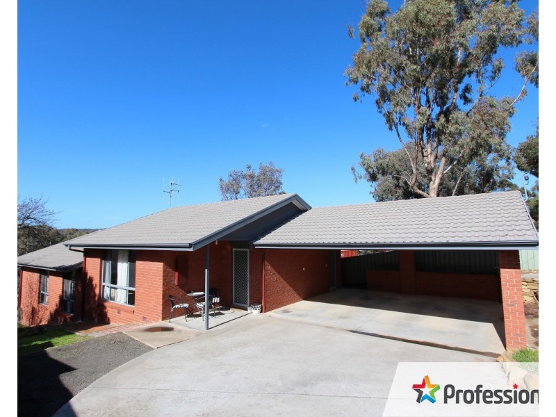 263 Carpenter Street, Spring Gully VIC 3550