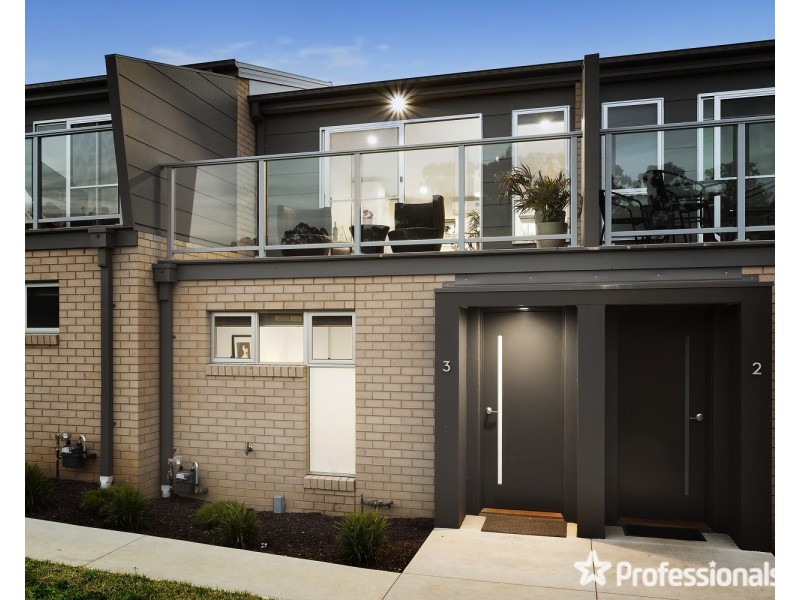 3/164 Condon Street, Kennington VIC 3550