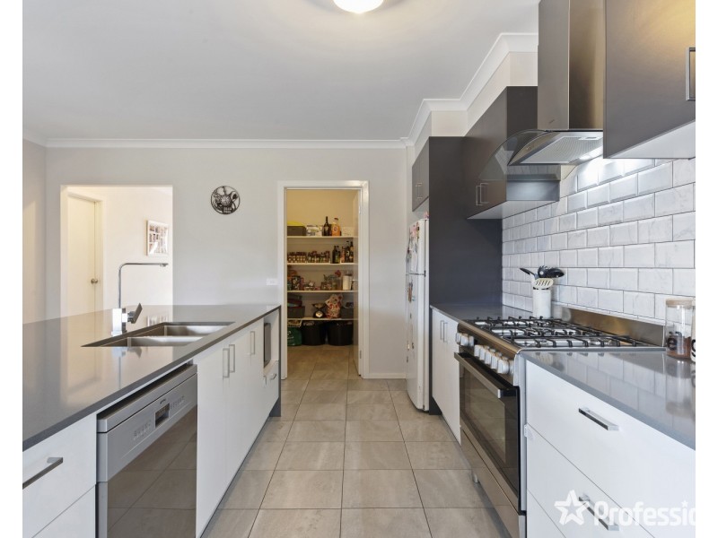 6 Gelbray Street, Ascot VIC 3551