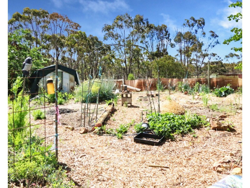 49 Kennelly Road, Eppalock VIC 3551