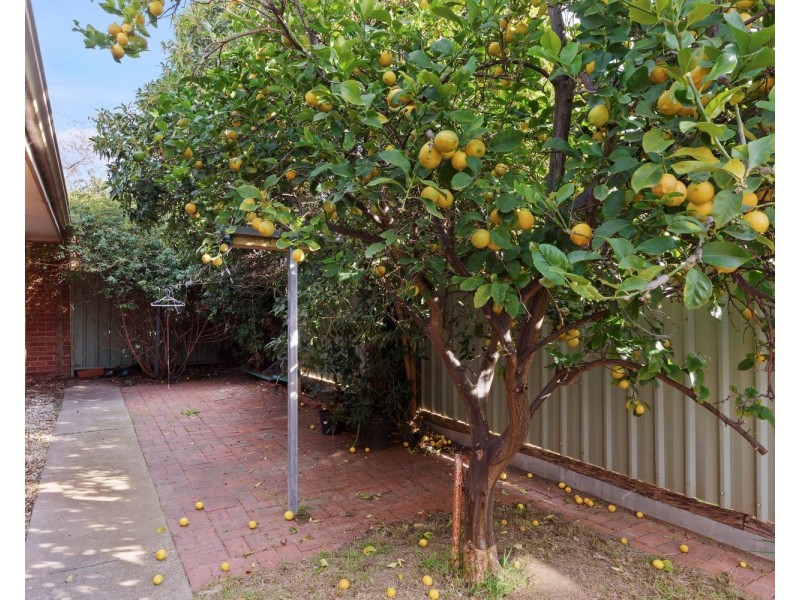 1/2 Towers Street, Flora Hill VIC 3550