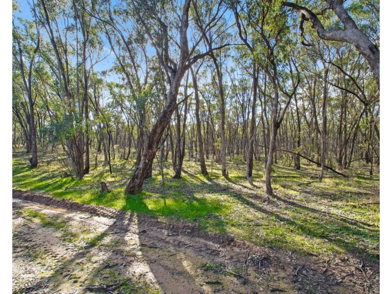 6b Pinpandoor Road, Axedale VIC 3551