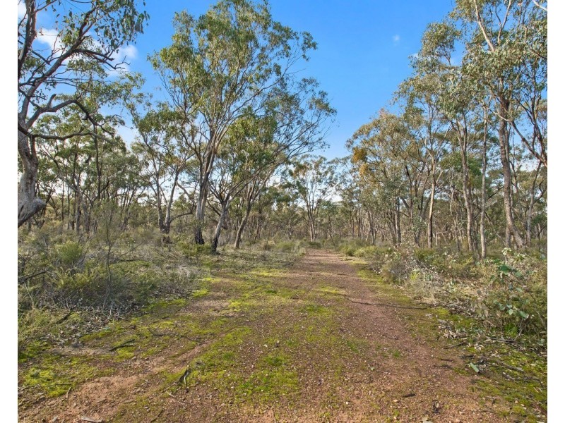 6b Pinpandoor Road, Axedale VIC 3551