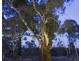 9 Amber Court, East Bendigo VIC 3550