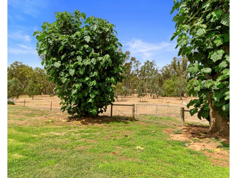 24 Burke Street, Newbridge VIC 3551