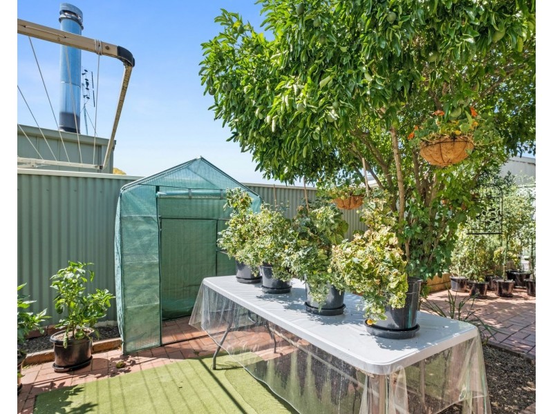 1/52 Raglan Street, White Hills VIC 3550