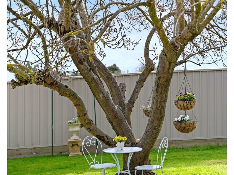 9 Leonard Avenue, Flora Hill VIC 3550