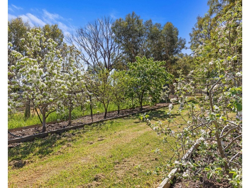 4 Tarah Lane, Lockwood VIC 3551
