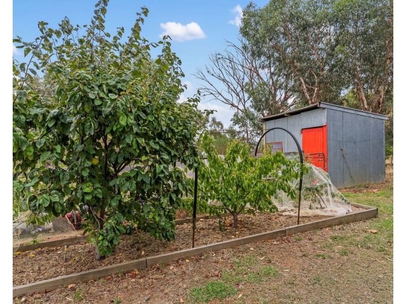 4 Tarah Lane, Lockwood VIC 3551