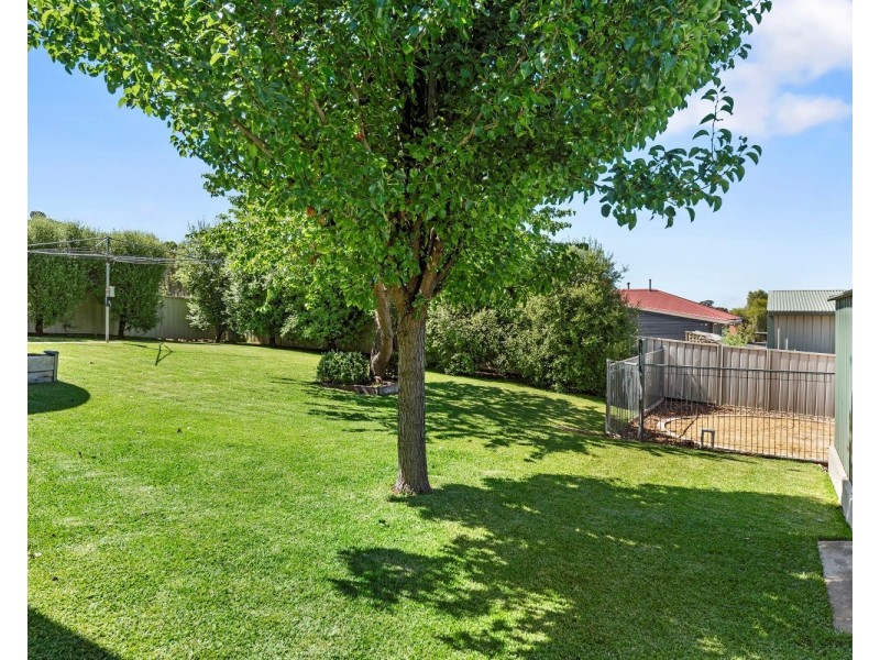 99 Morrison Street, Kangaroo Flat VIC 3555