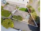 1/7 Minto Street, Quarry Hill VIC 3550