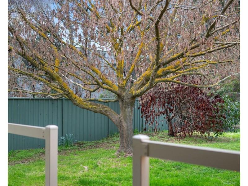 6 Brooke Court, Strathdale VIC 3550