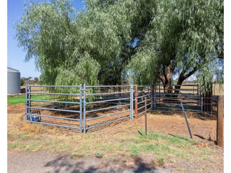 144 Sebastian Road, Bridgewater VIC 3516