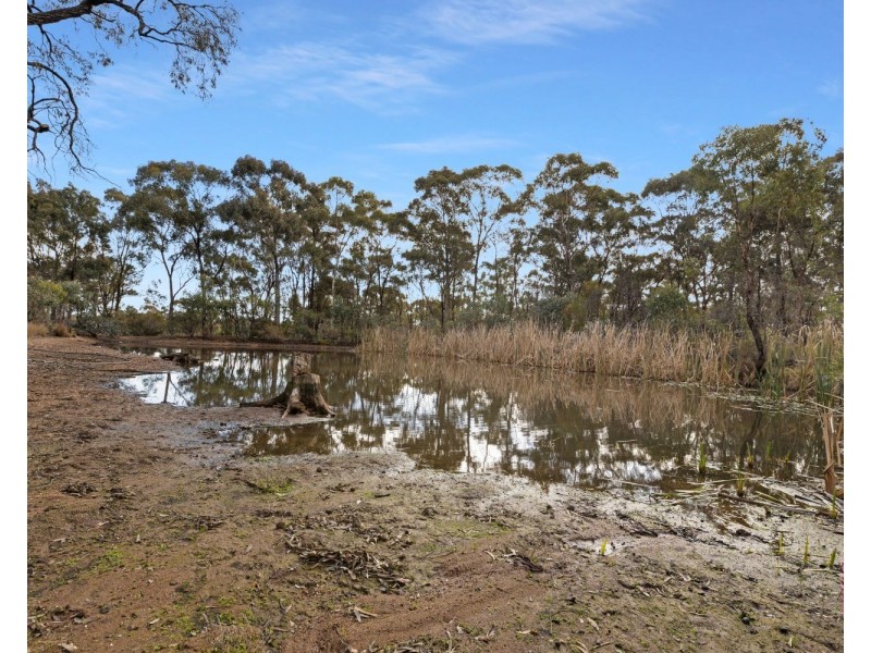 199 Woodvale East Track, Woodvale VIC 3556