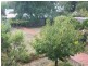 Castlemaine VIC 3450