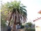 212 Wattle Street, Bendigo VIC 3550