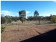 Wedderburn VIC 3518
