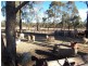 Wedderburn VIC 3518