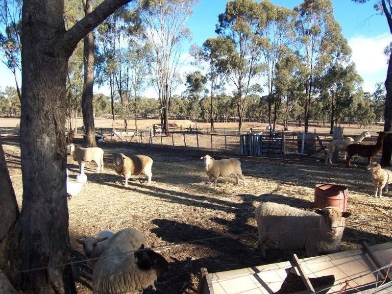 Wedderburn VIC 3518