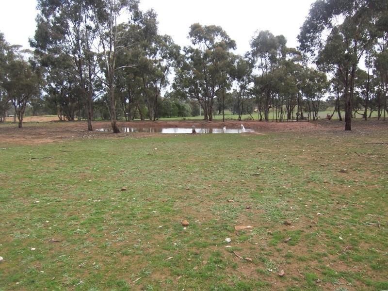 Wedderburn VIC 3518